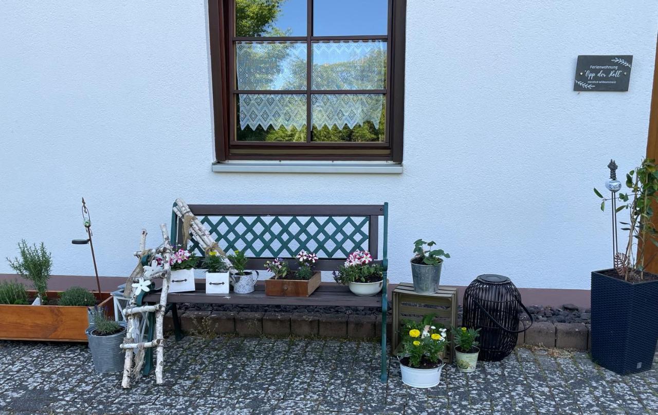 Ferienwohnung In Der Vulkaneifel "Opp Der Holl" Brockscheid Exterior photo