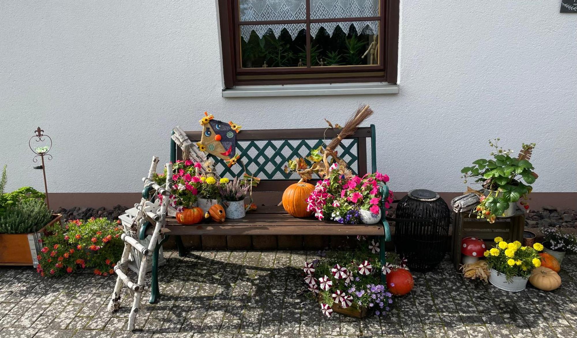 Ferienwohnung In Der Vulkaneifel "Opp Der Holl" Brockscheid Exterior photo