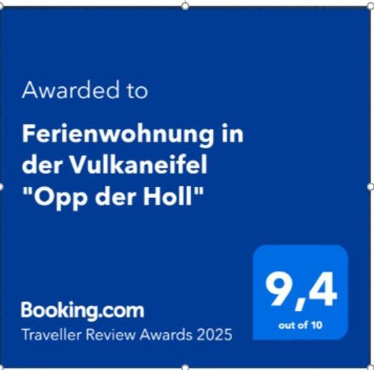 Ferienwohnung In Der Vulkaneifel "Opp Der Holl" Brockscheid Exterior photo
